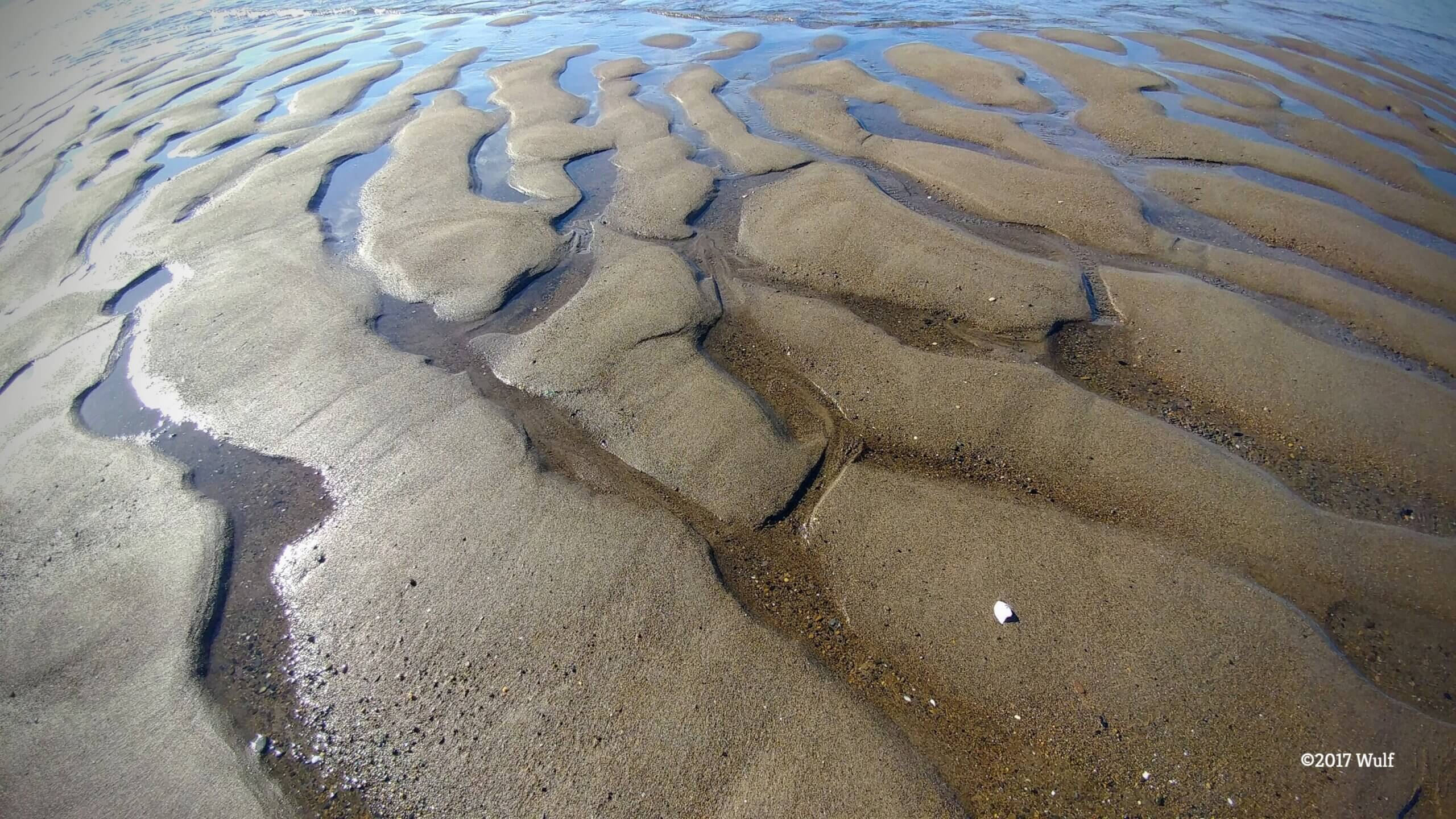 Brackish tidewater and sand