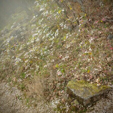 Epiphany before basalt