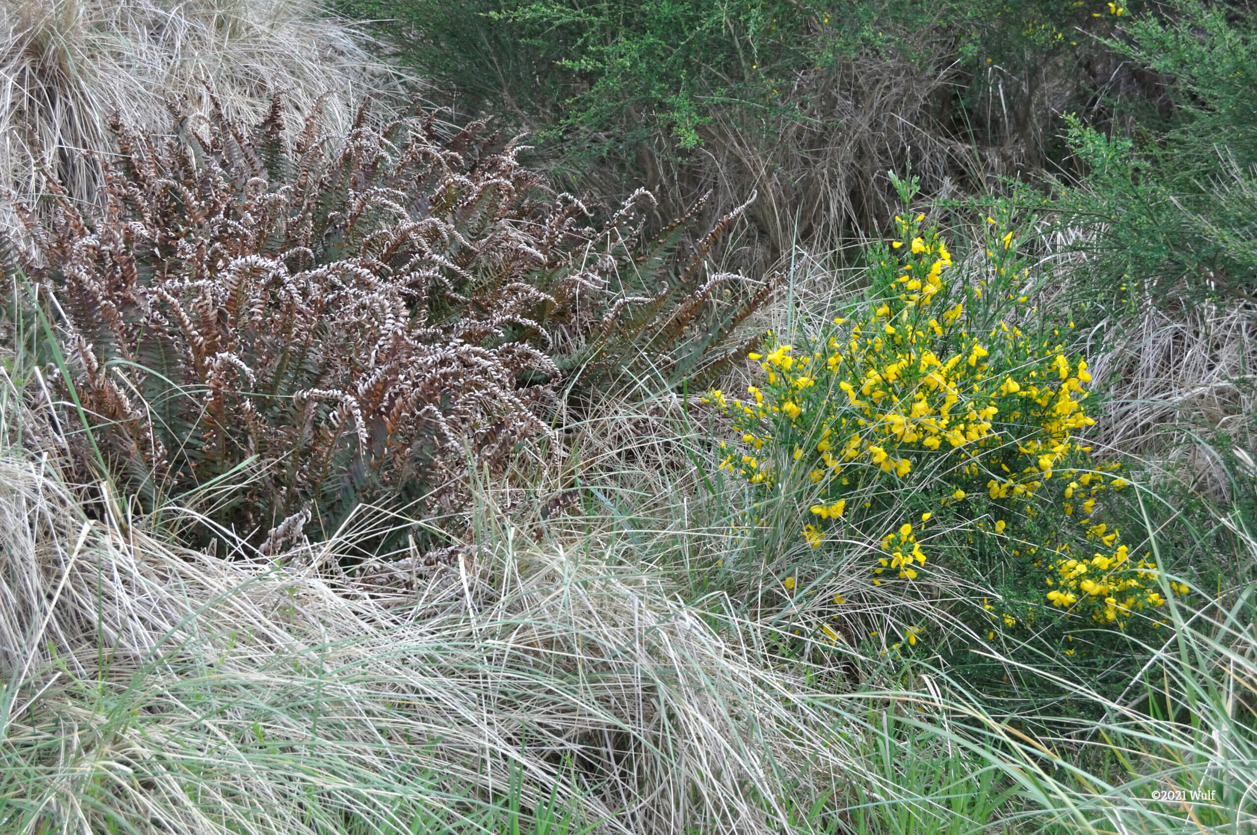 Divining a clear sightline or, my life metamorphosis