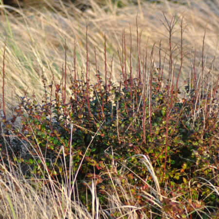 Homepage slideshow - Starting over