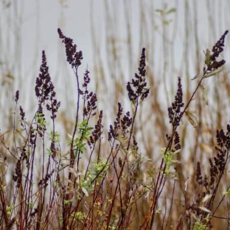 Homepage slideshow - Series 3, Frame 1 - Aqueous