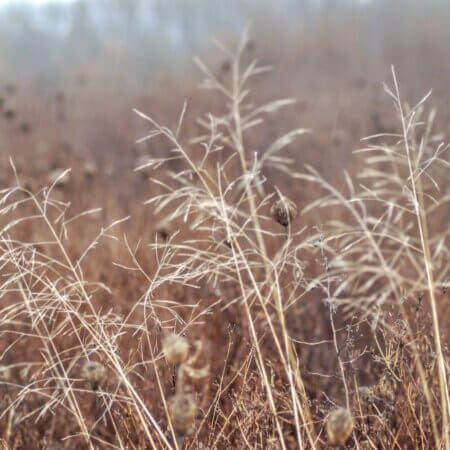 Homepage slideshow - Series 4, Frame 1 - Liquidity