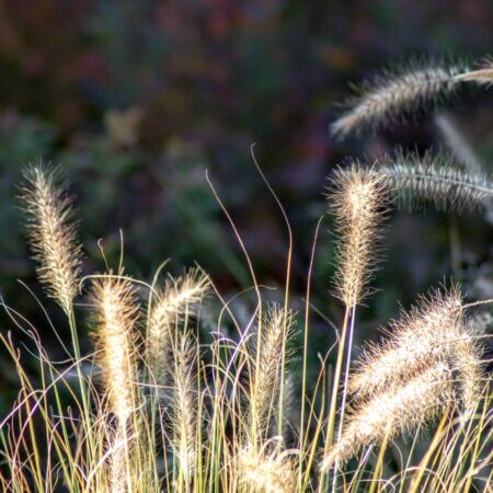 Homepage slideshow - #4 Compressed relief, Series 1, Frame 1