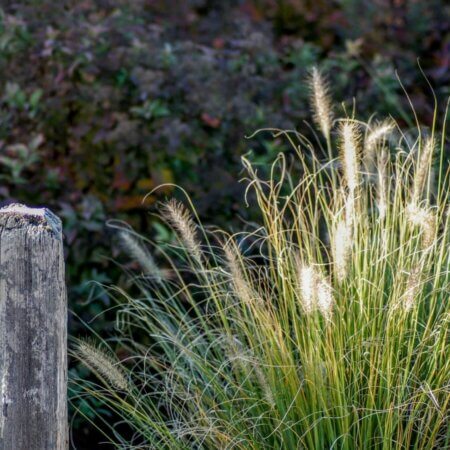 Homepage slideshow - #1 Compressed relief, Series 1, Frame 2