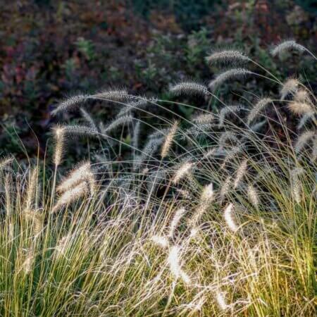 Homepage slideshow - #3 Compressed relief, Series 1, Frame 7