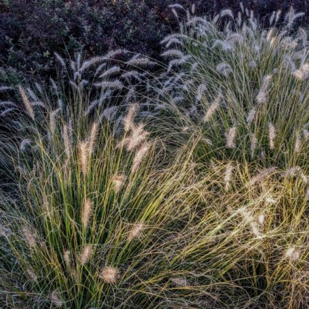 Homepage slideshow - #2 Spread detail, Series 2, Frame 9