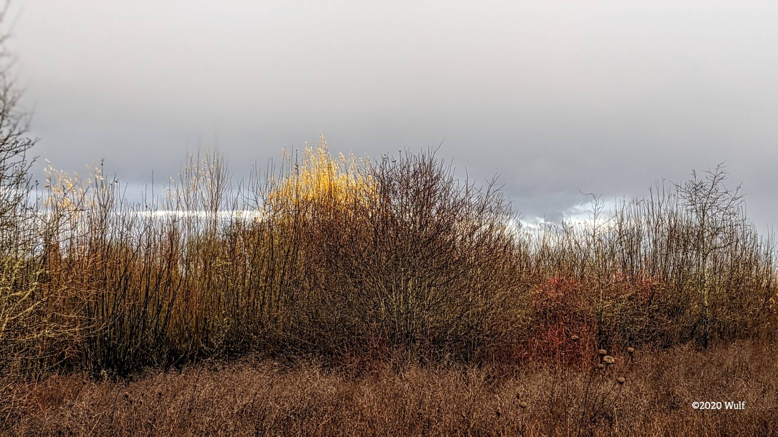 Series 2, Frame 1 – Vermilion - kenwulf.com