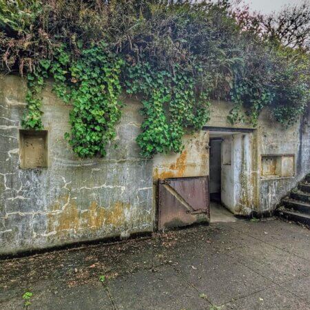Homepage slideshow - Rusted half door, weathered concrete in shade