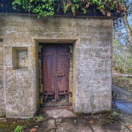 Rusted door, weathered concrete, native flora cap