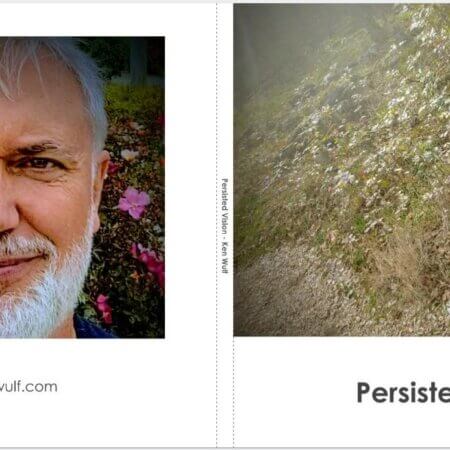 Persisted Vision Look Book