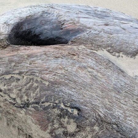 Homepage slideshow - Portent on Sand 3-of-3