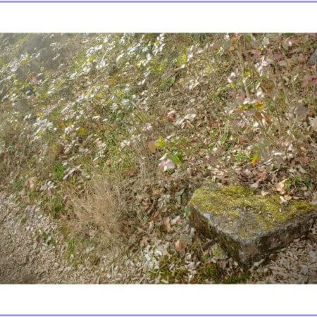 Persisted Vision Stationery - Epiphany Set